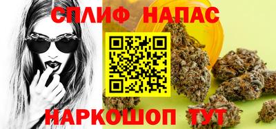 СК Пугачёв