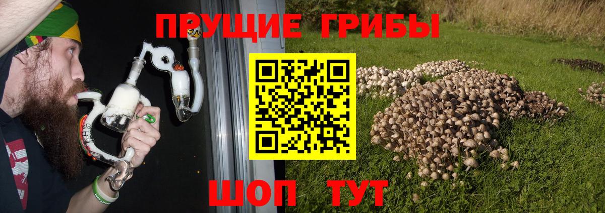 Псилоцибиновые грибы MAGIC MUSHROOMS Северск
